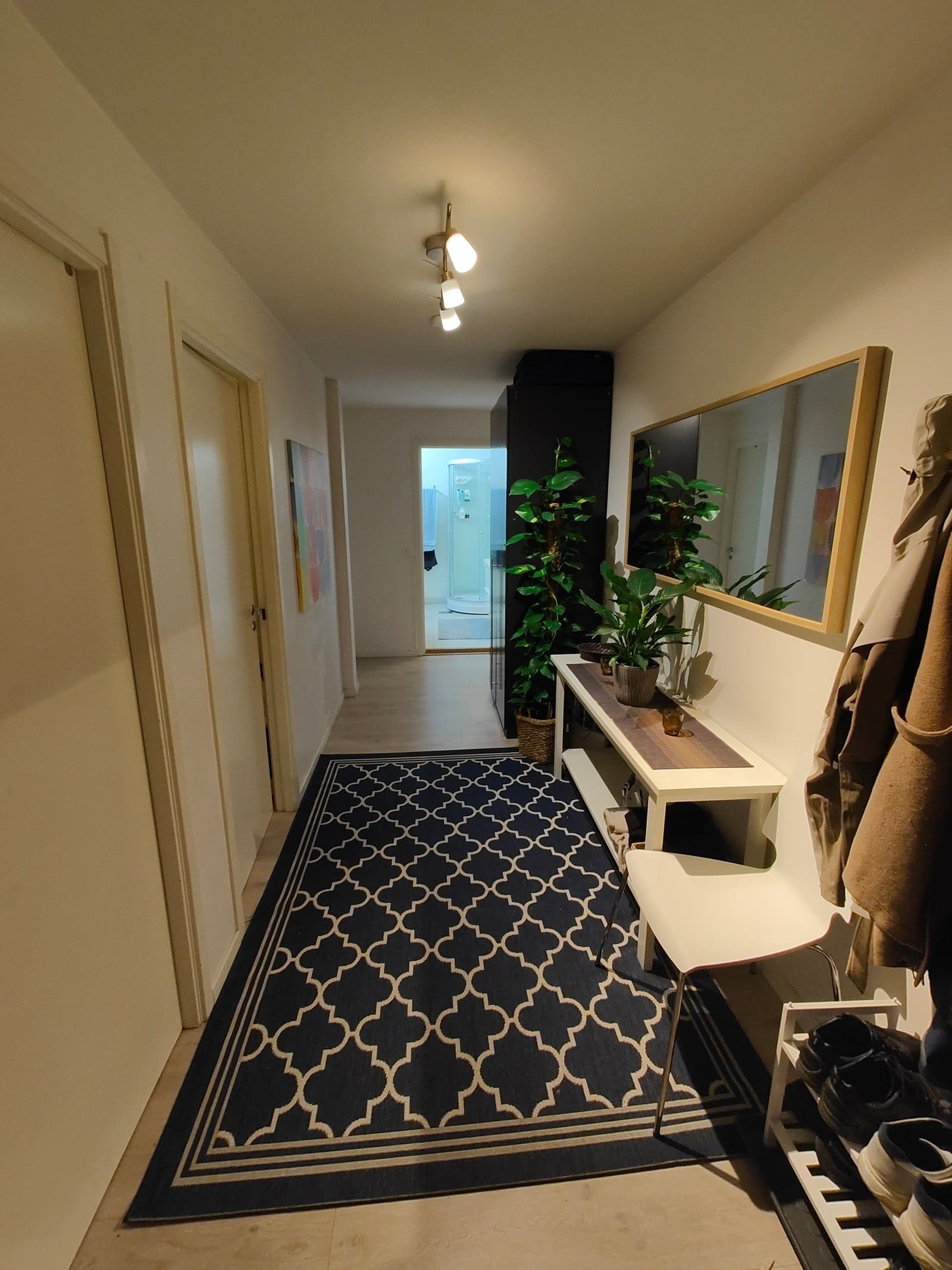 Entré/gang, skapet som er synlig i enden tilhører rommet som leies ut, men har blitt plassert her for at det skal bli enda bedre plass på rommet. Galleribilde