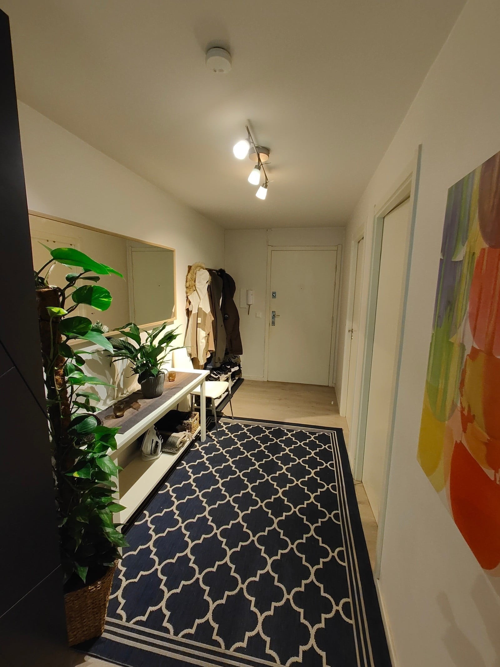 Bildet tatt mot inngangsdør i entré/gang Galleribilde