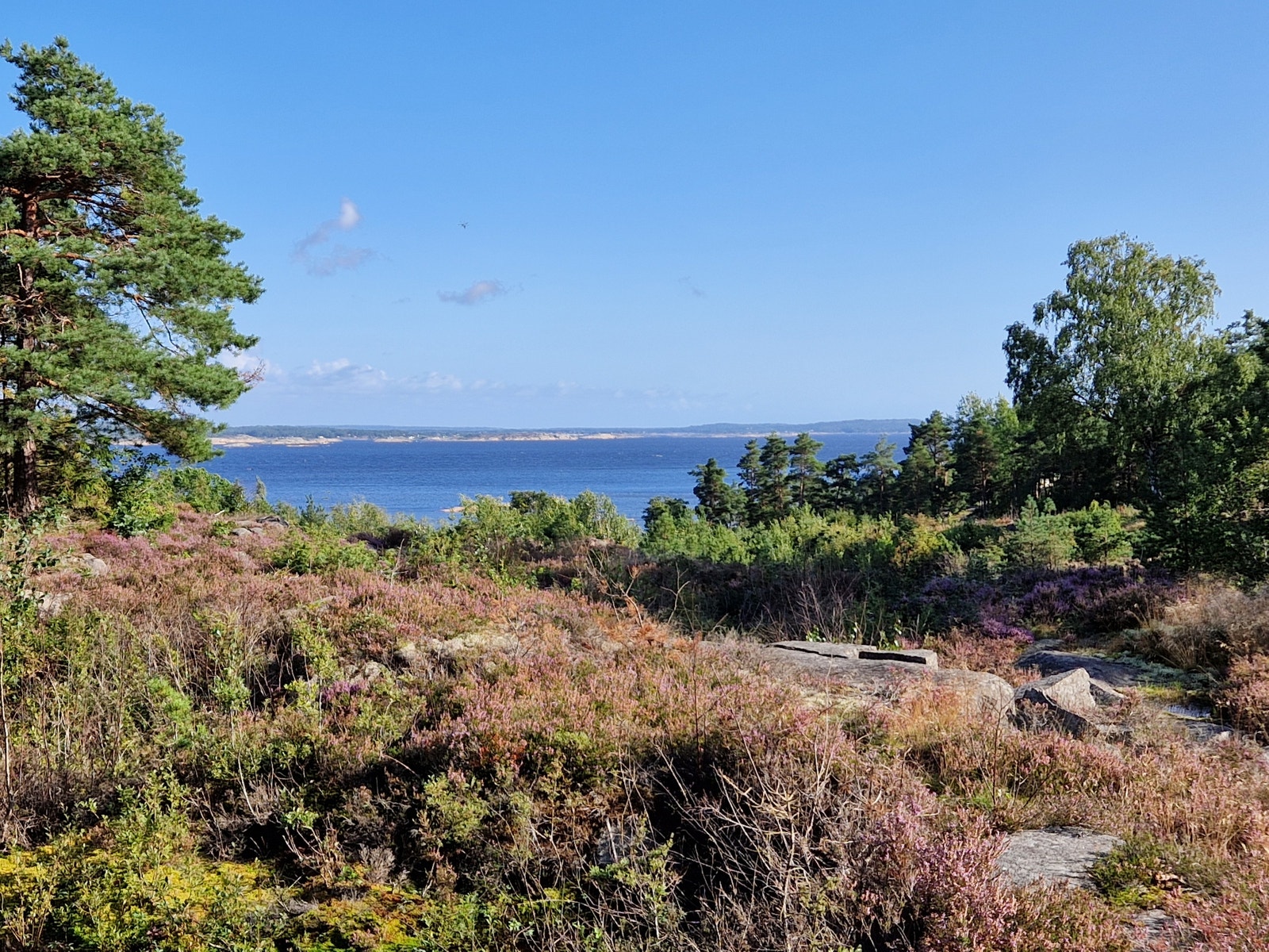 Utsikt fra tomt nr.10 Galleribilde