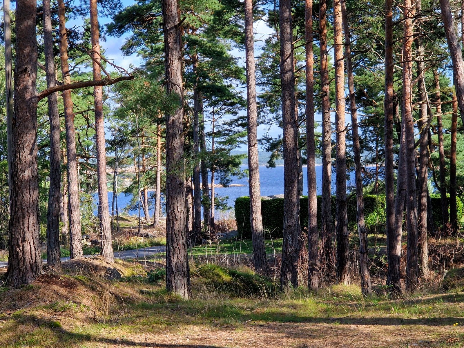 Utsikt tomt nr.14 Galleribilde