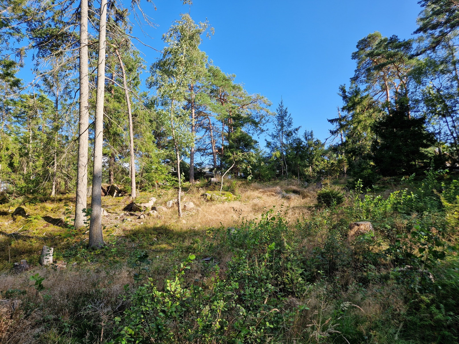 Tomt nr.16 Galleribilde