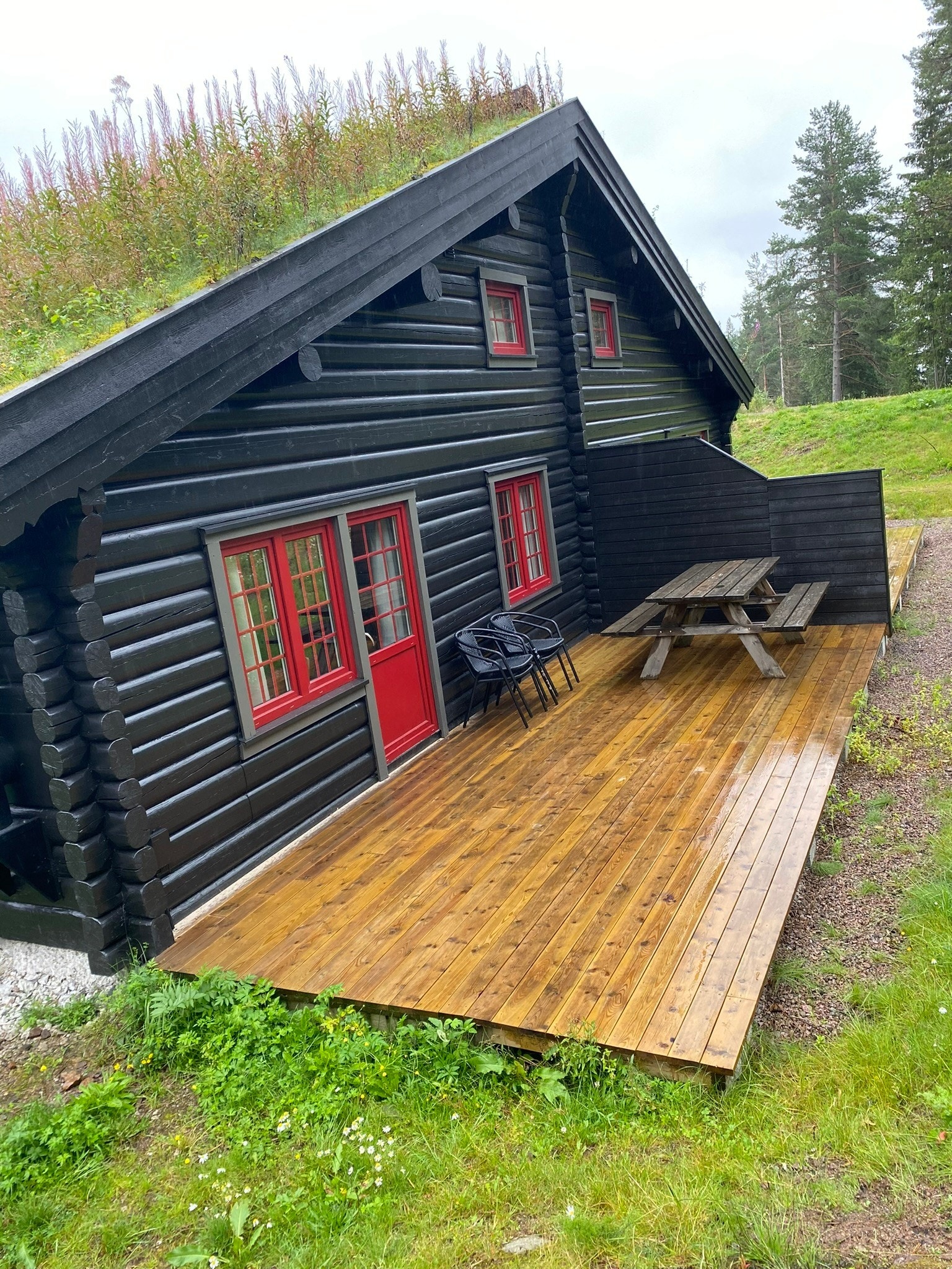 Bakside Galleribilde