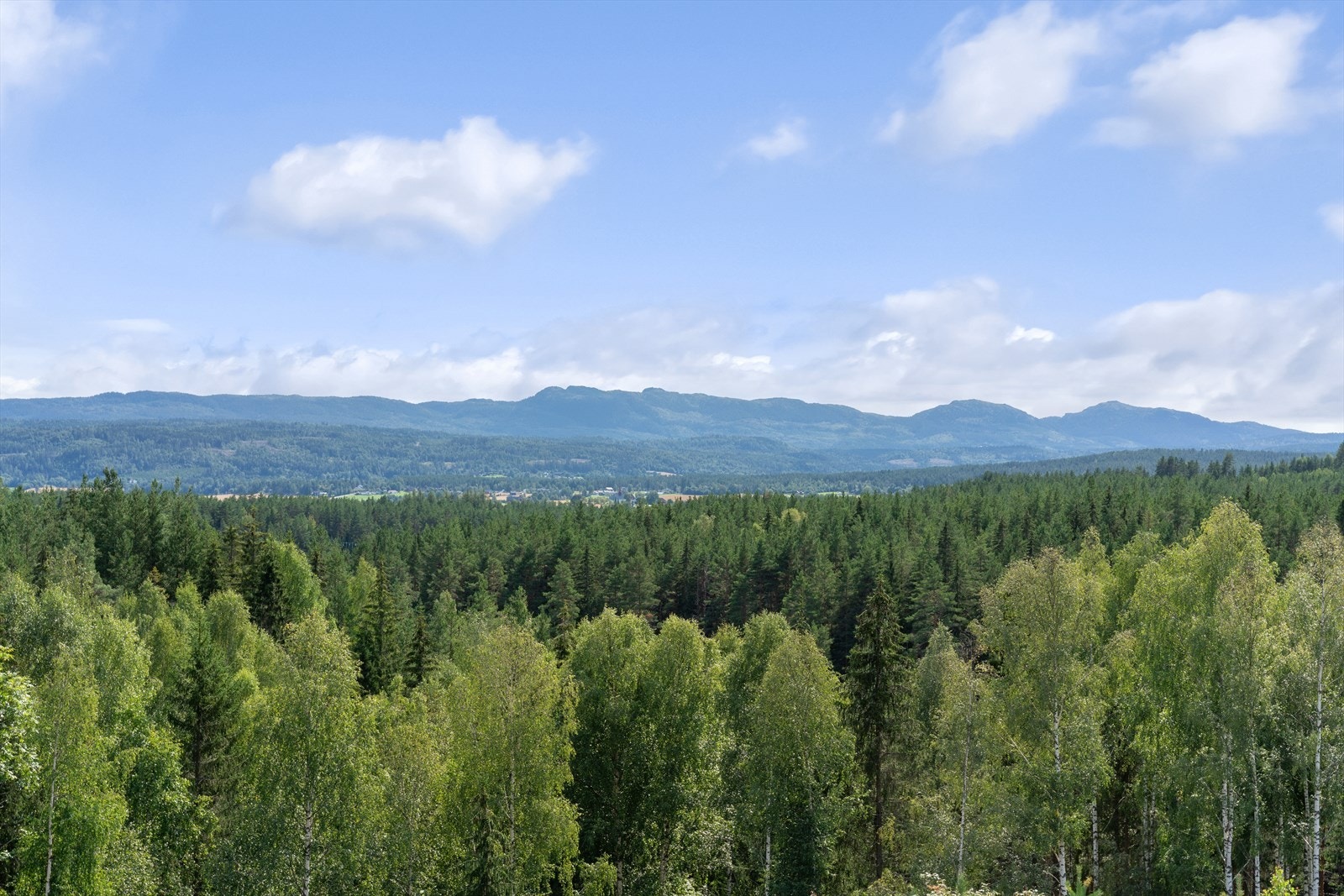 Flott utsikt Galleribilde