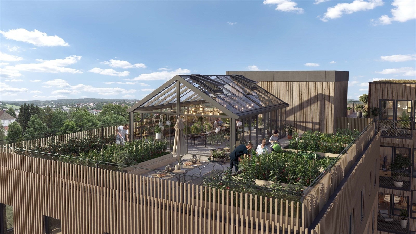 Takterrasse Galleribilde