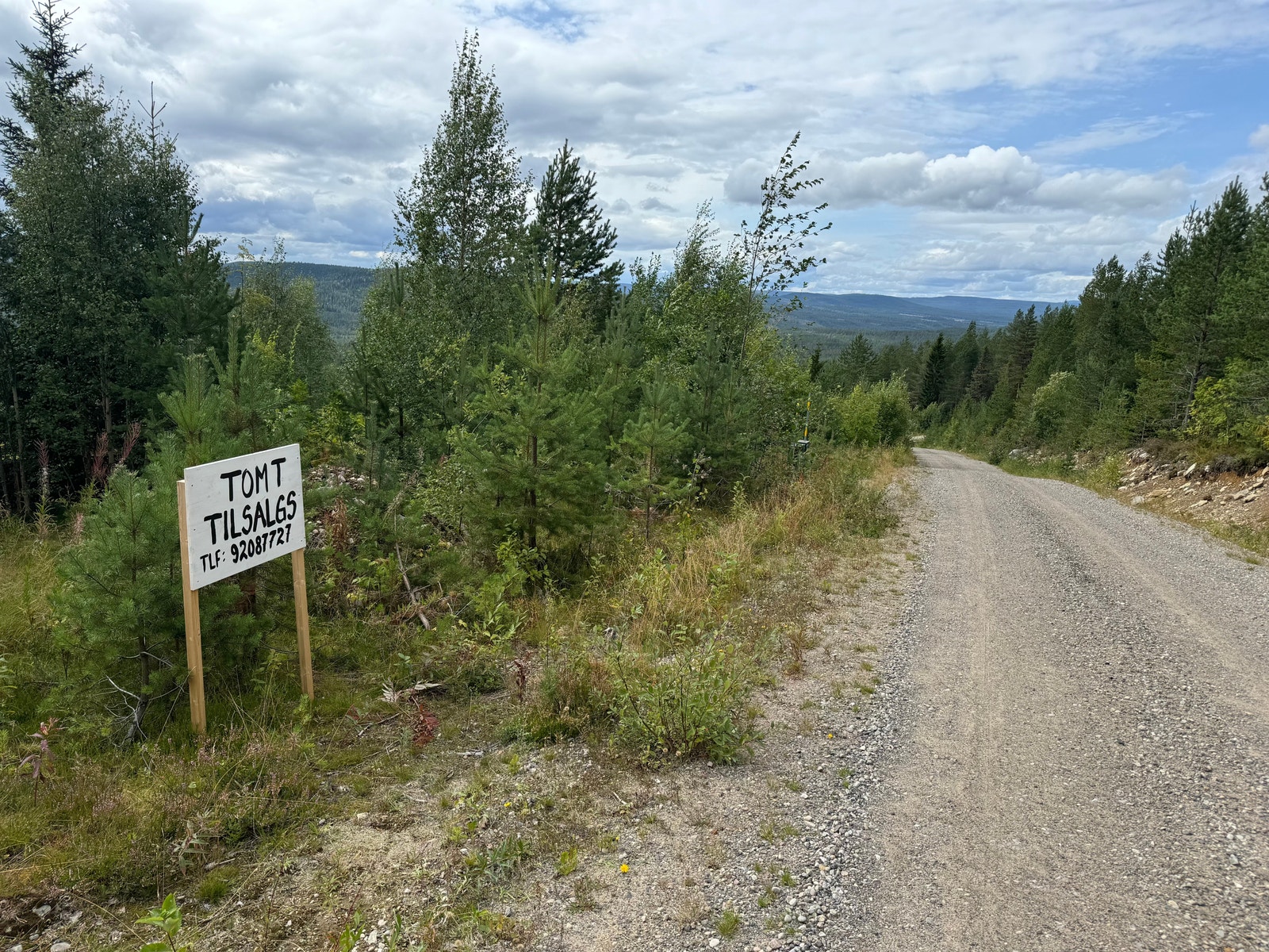 Skilt tomt til salgs er nr 25 Galleribilde