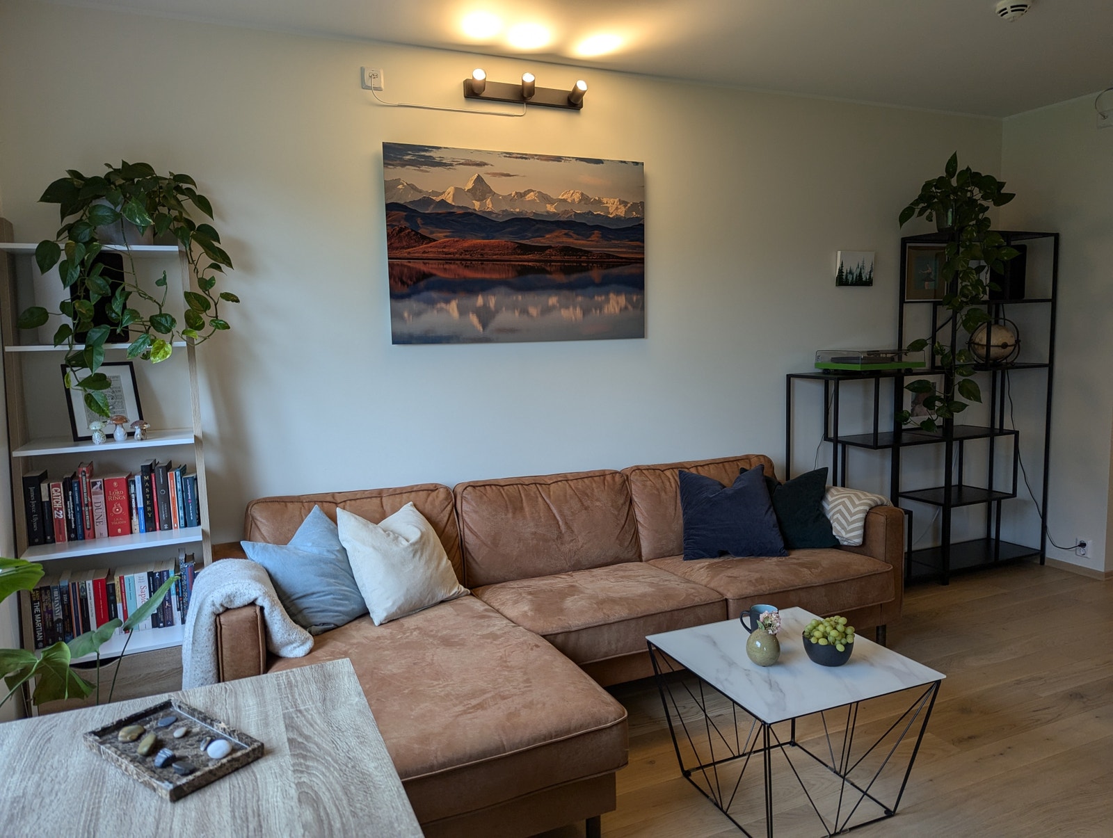 Stue med sofa Galleribilde