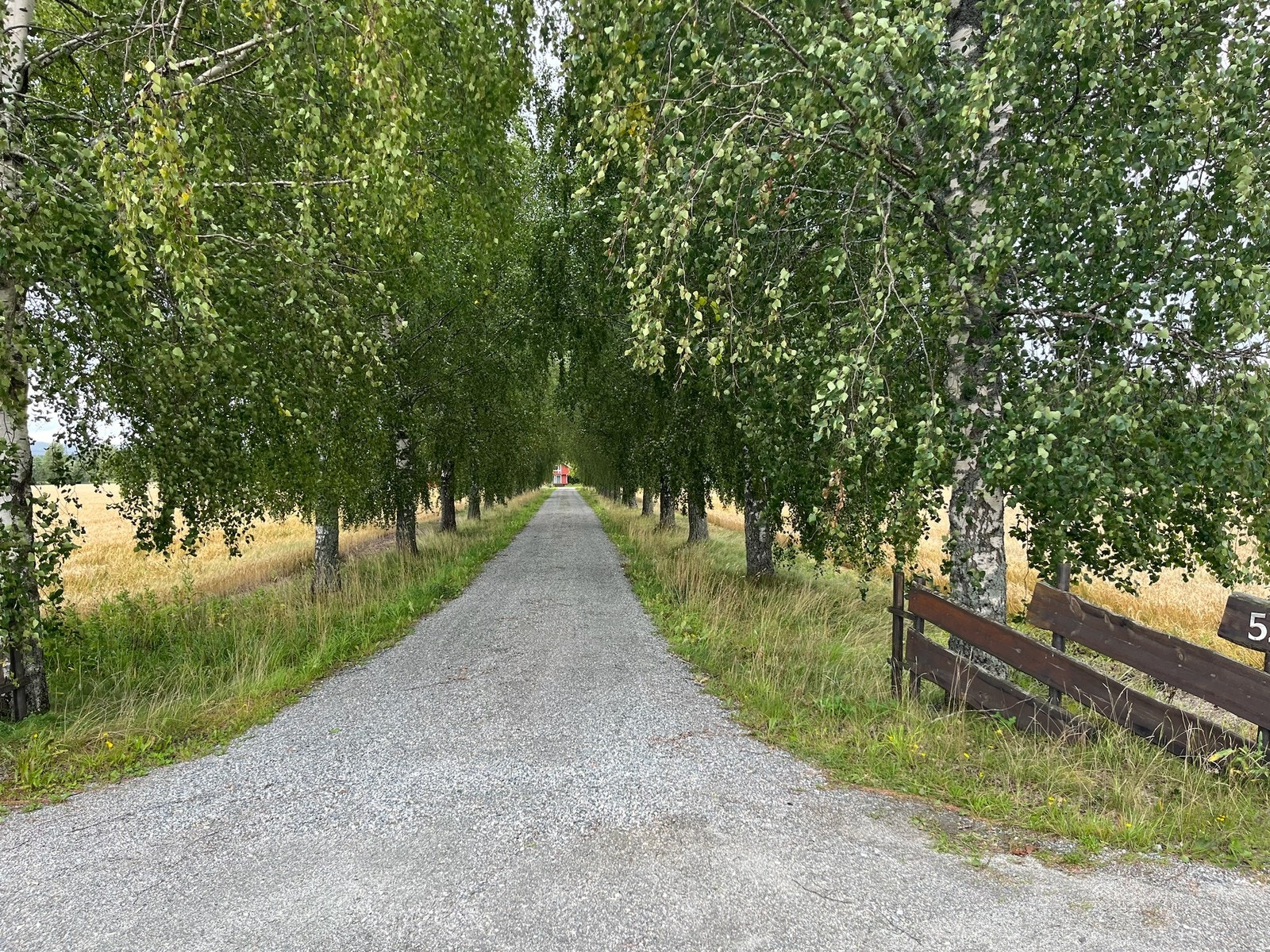 Innkjøring til eiendommen Galleribilde