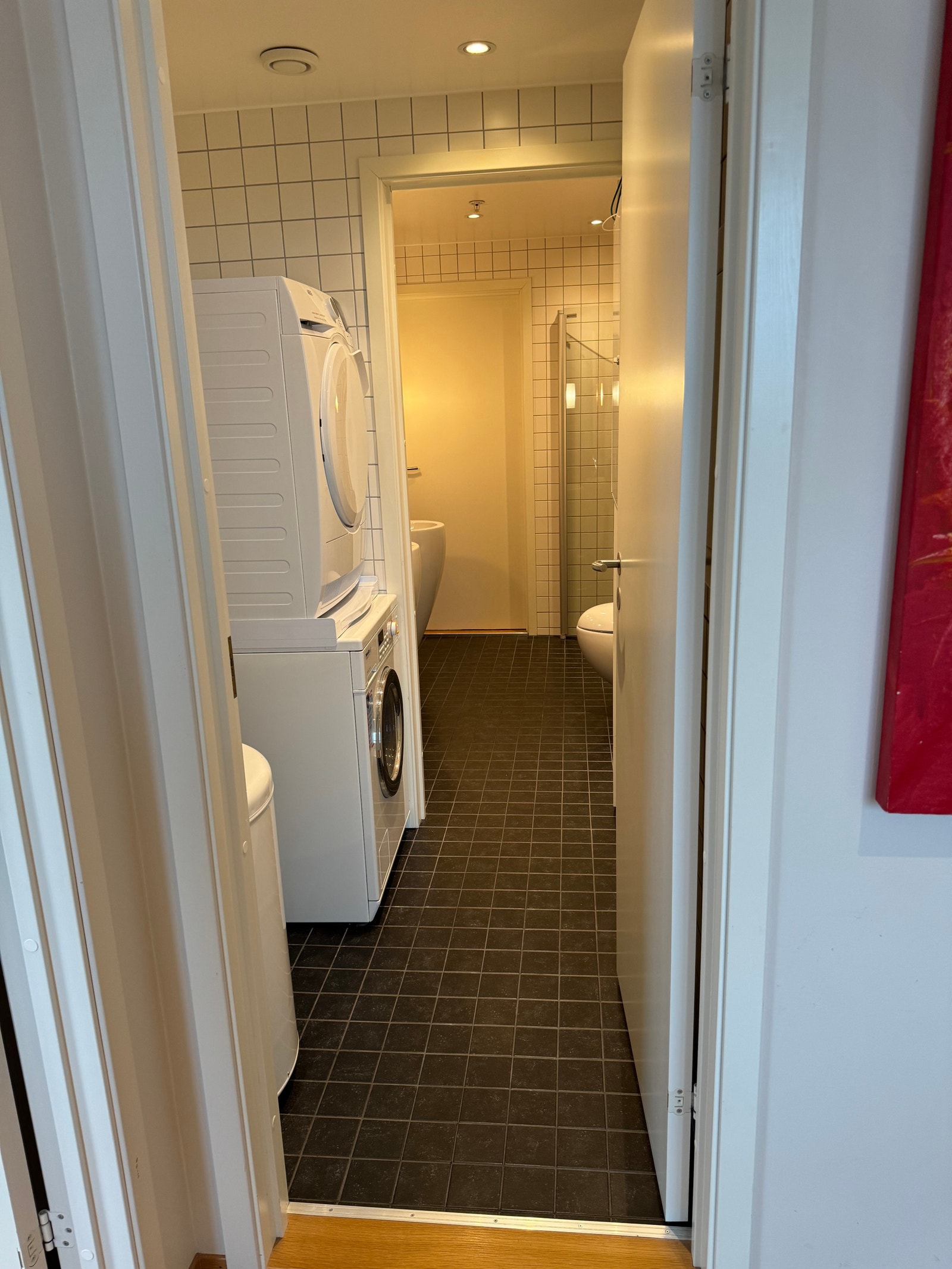 Vaskerom Galleribilde