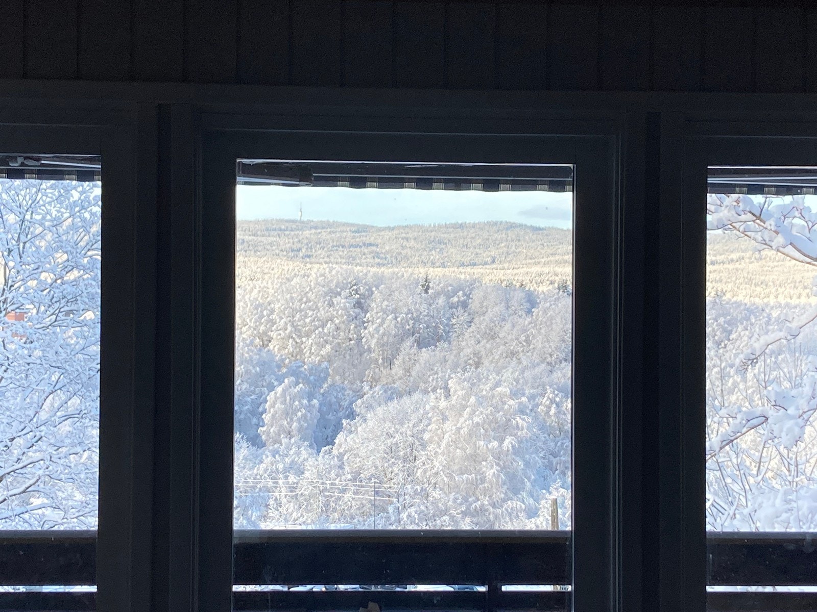 Utsikt vinter Galleribilde