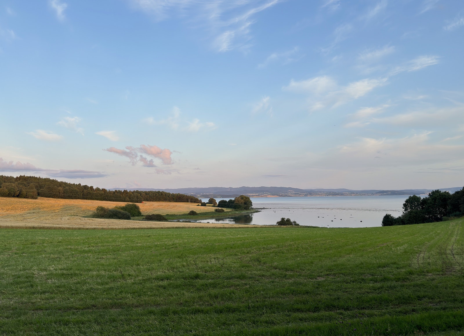 Områdebilde, Ytterøy. Galleribilde