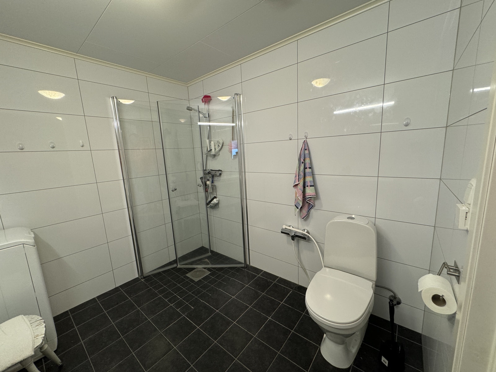 Romslig dusjhjørne, WC og bidédusj. Galleribilde