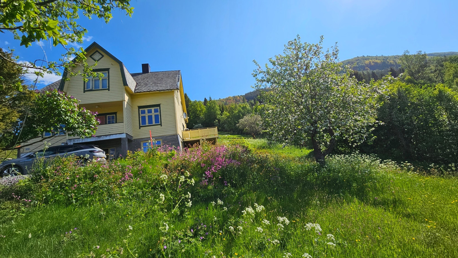 Solrik veranda mot sør. Galleribilde