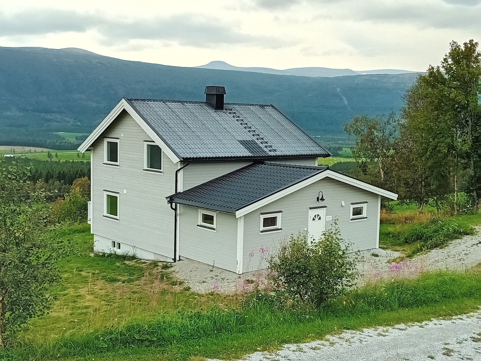 Tom og hus (sommer) Galleribilde