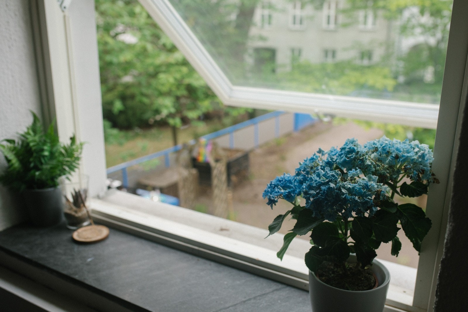View from kitchen Galleribilde