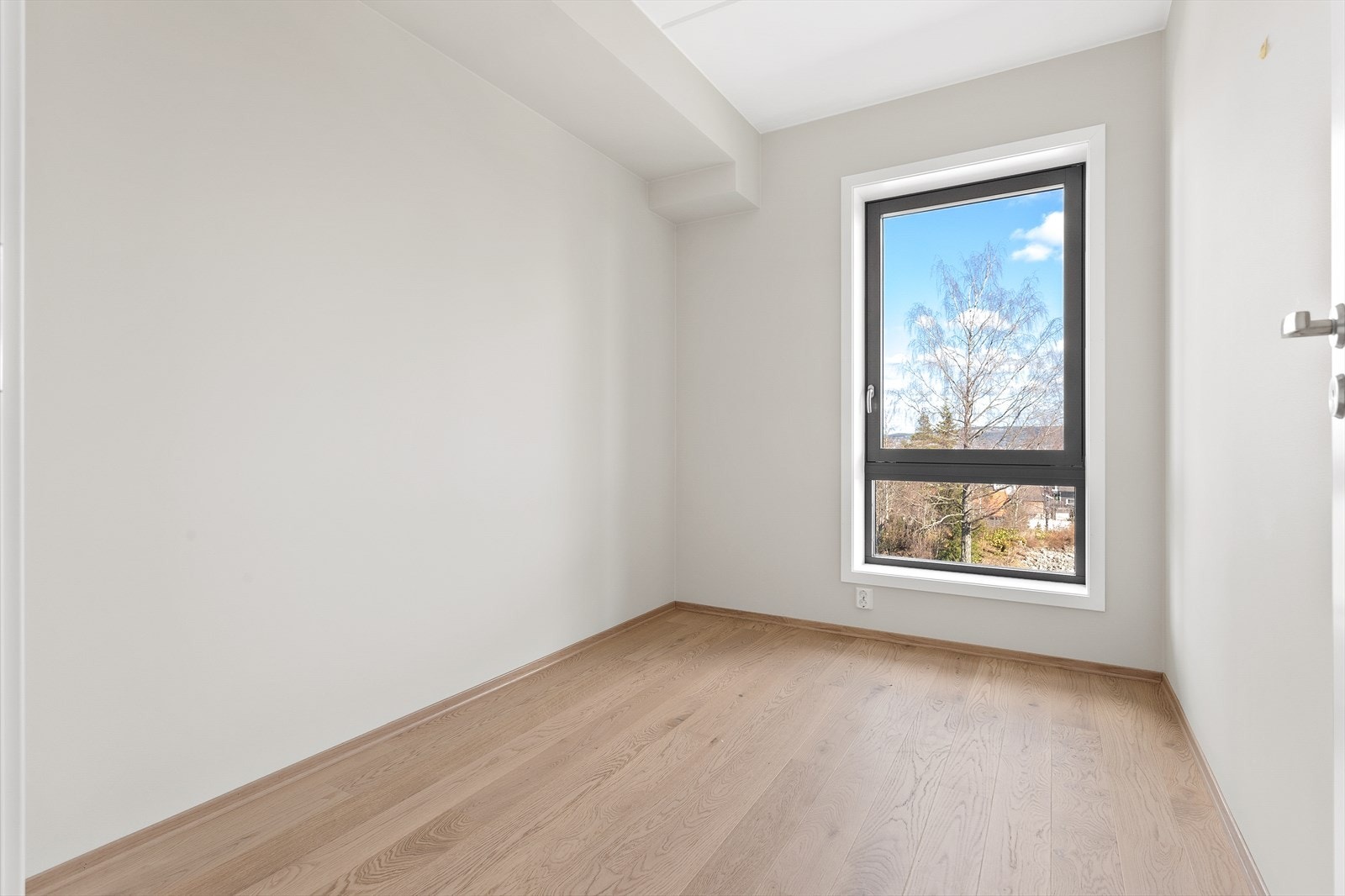 IMG_0559.jpg Galleribilde