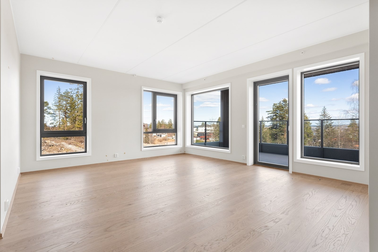 IMG_0574.jpg Galleribilde