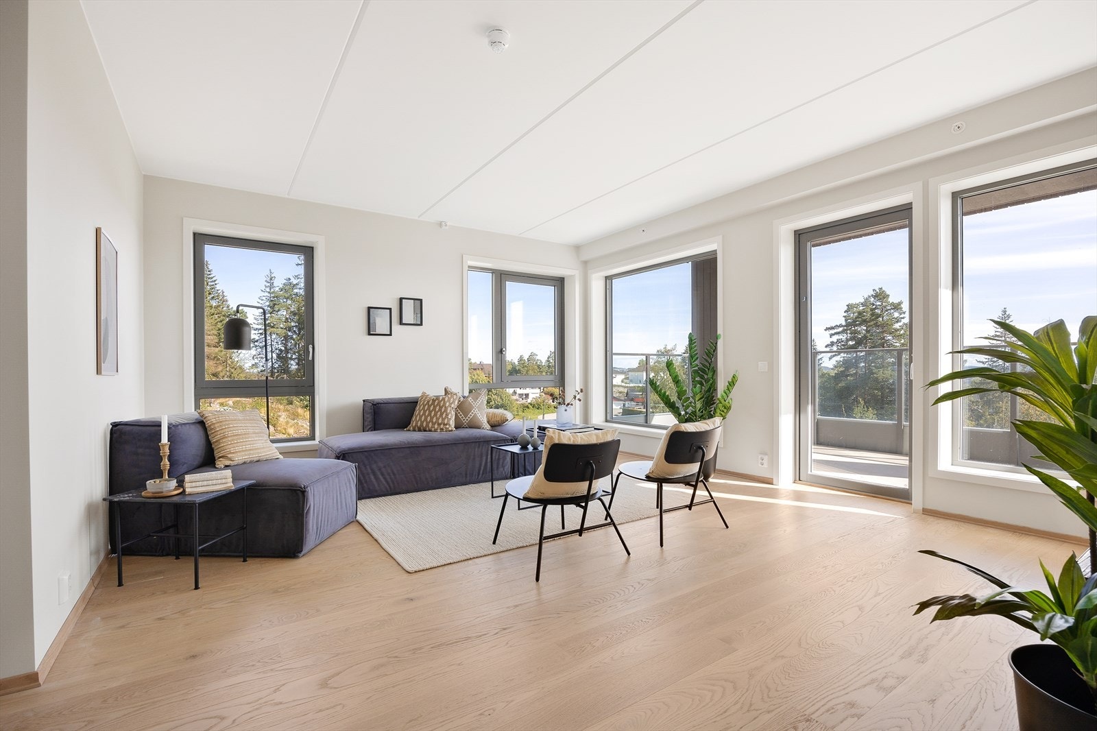 _10A9183.jpg Galleribilde