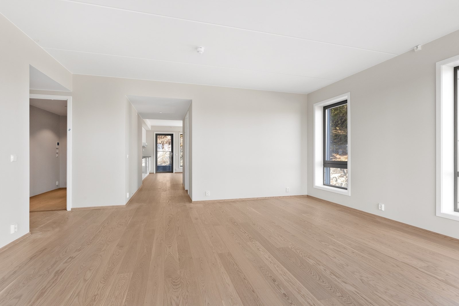 IMG_0577.jpg Galleribilde