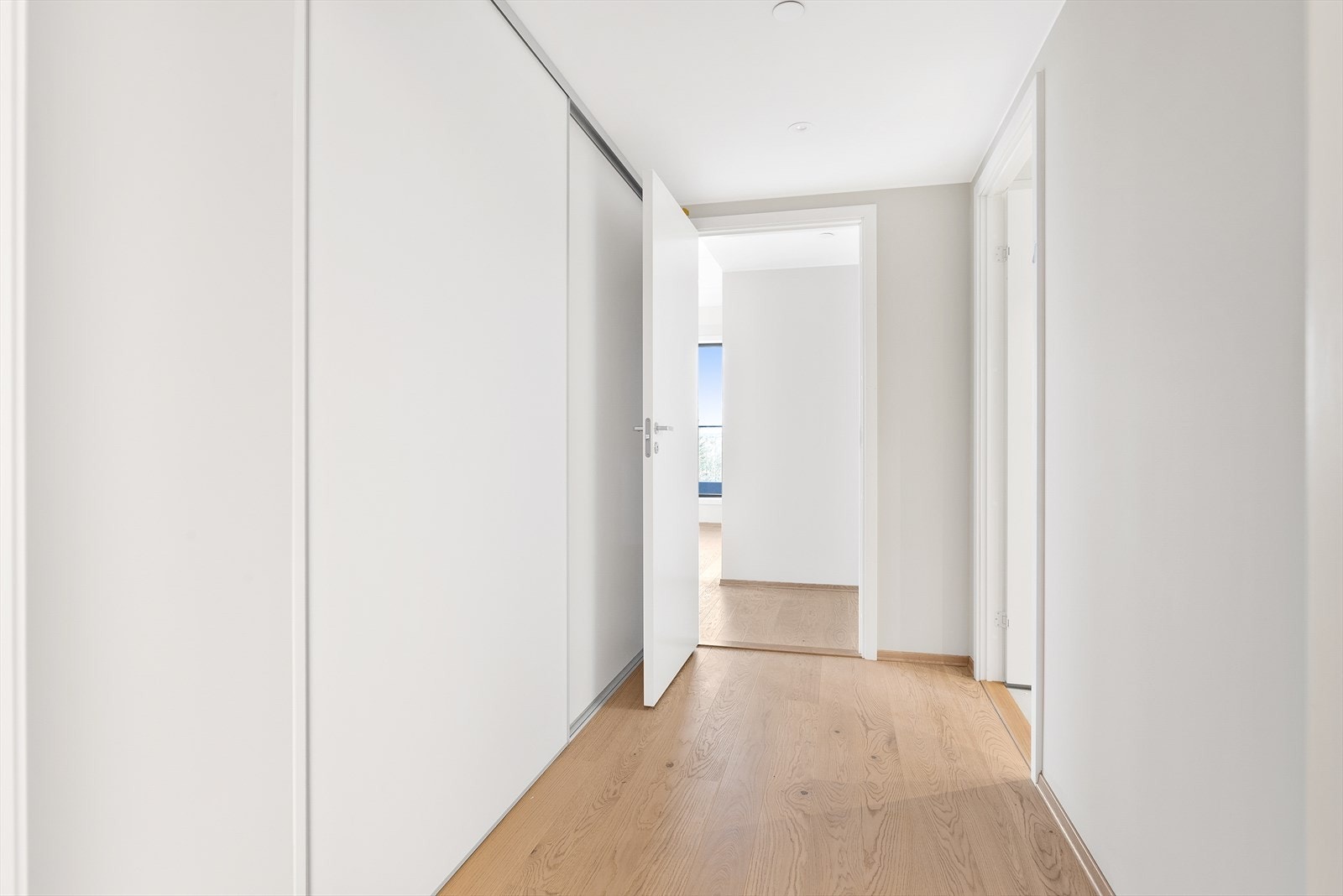 IMG_0547.jpg Galleribilde