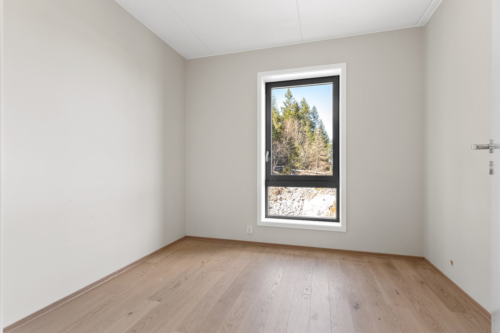 IMG_0571.jpg Galleribilde