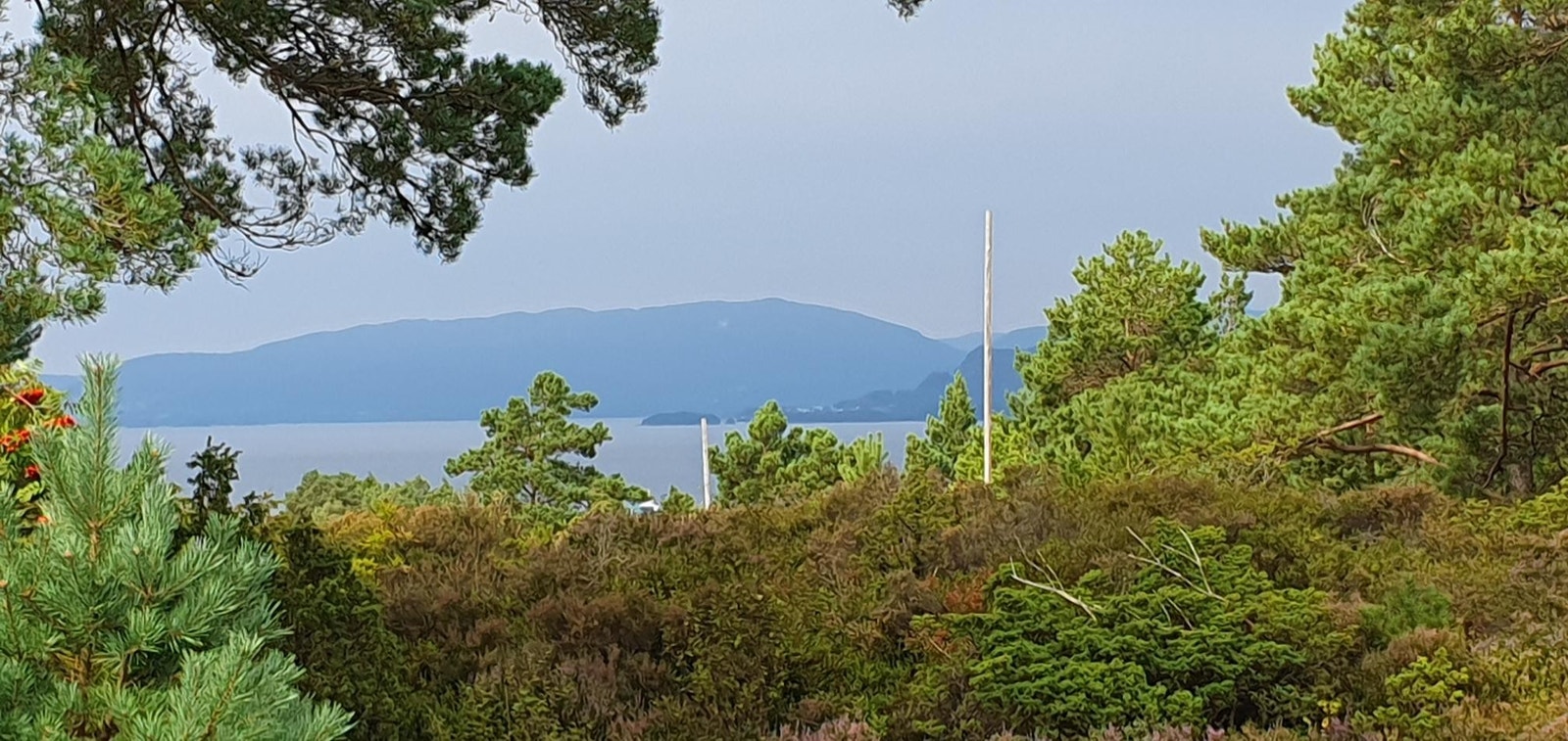 Utsikt mot nord - Bjørnefjorden Galleribilde