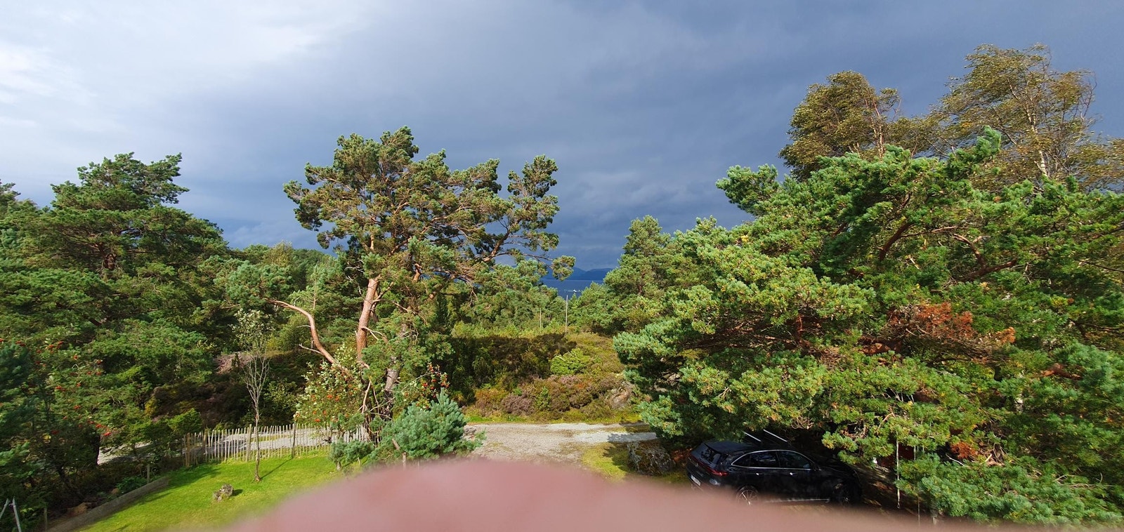 Deler av tomt Galleribilde