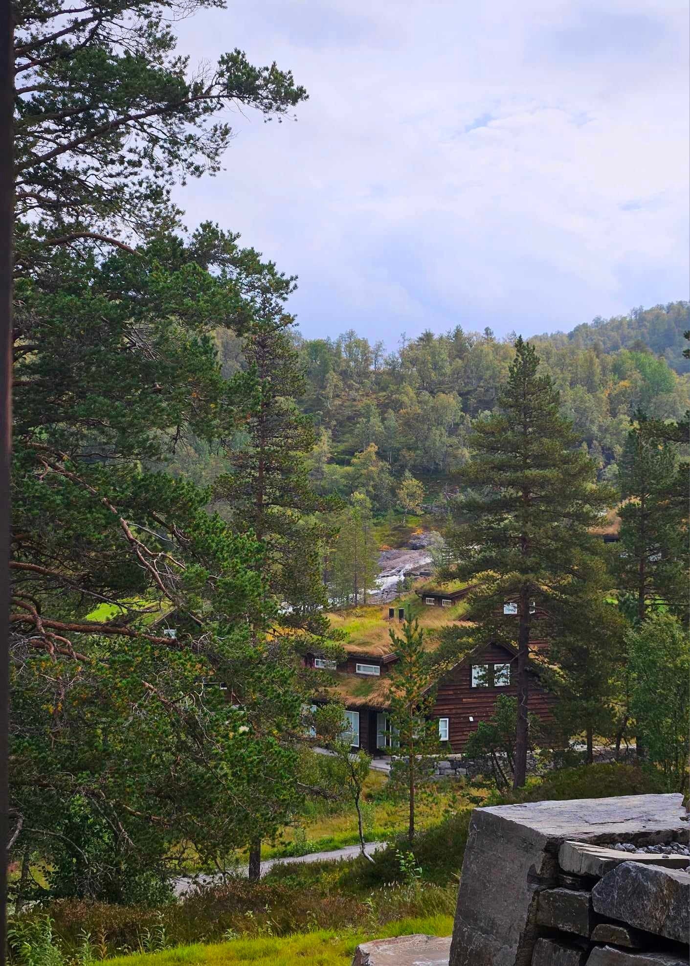 Morgenkaffen med utsikt til Høna Galleribilde