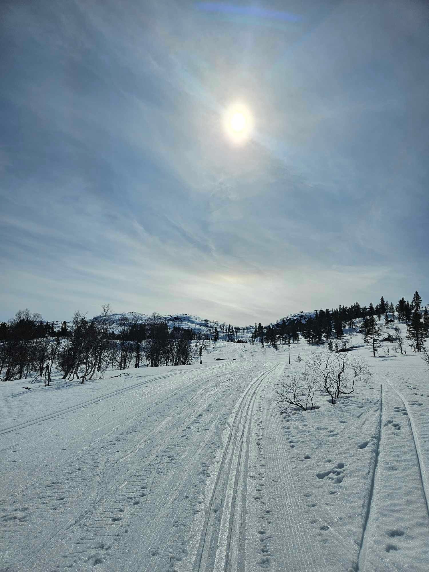 Denne utsikten møter deg rett over 10min skigåing fra hytta Galleribilde