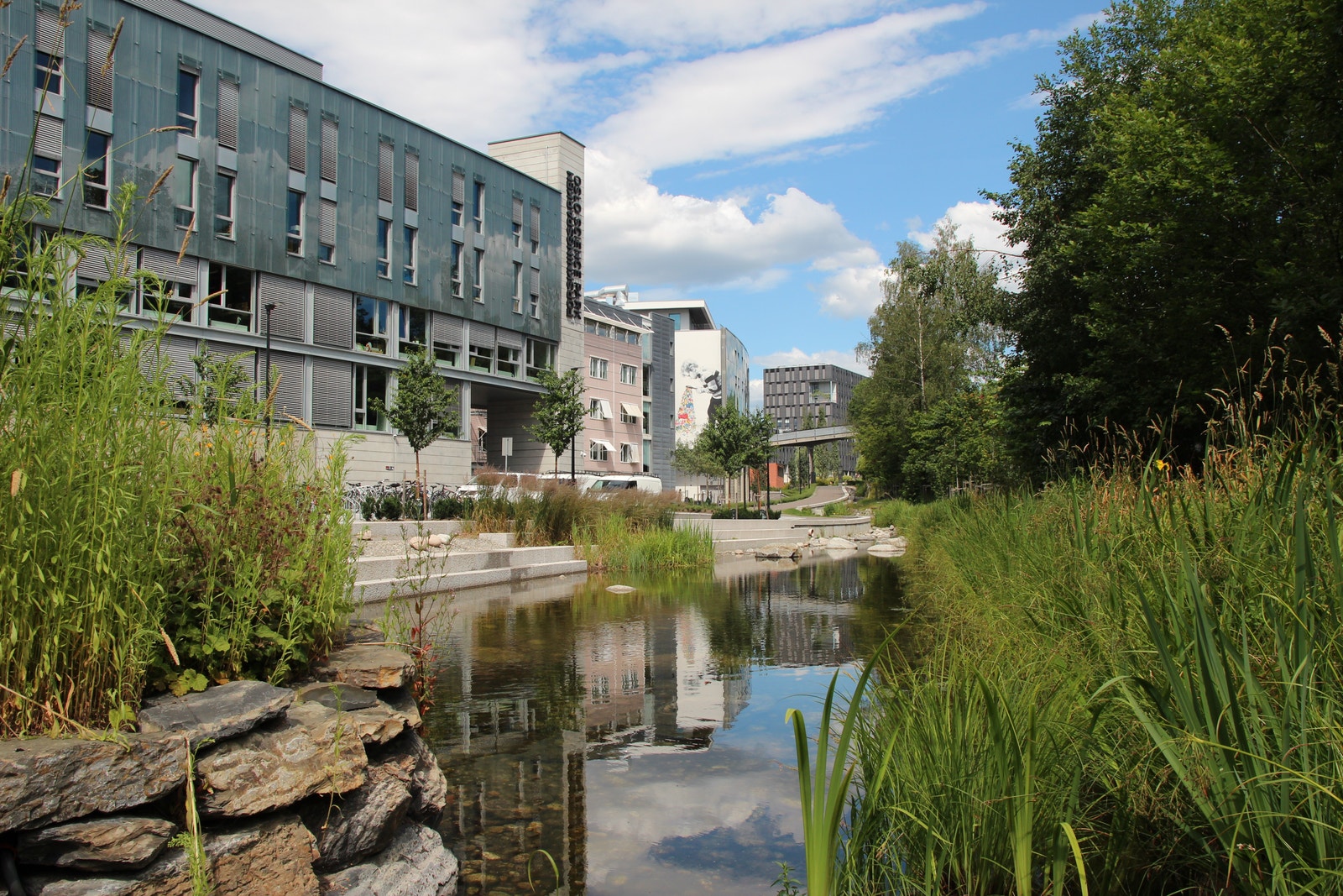 Grønne omgivelser Galleribilde