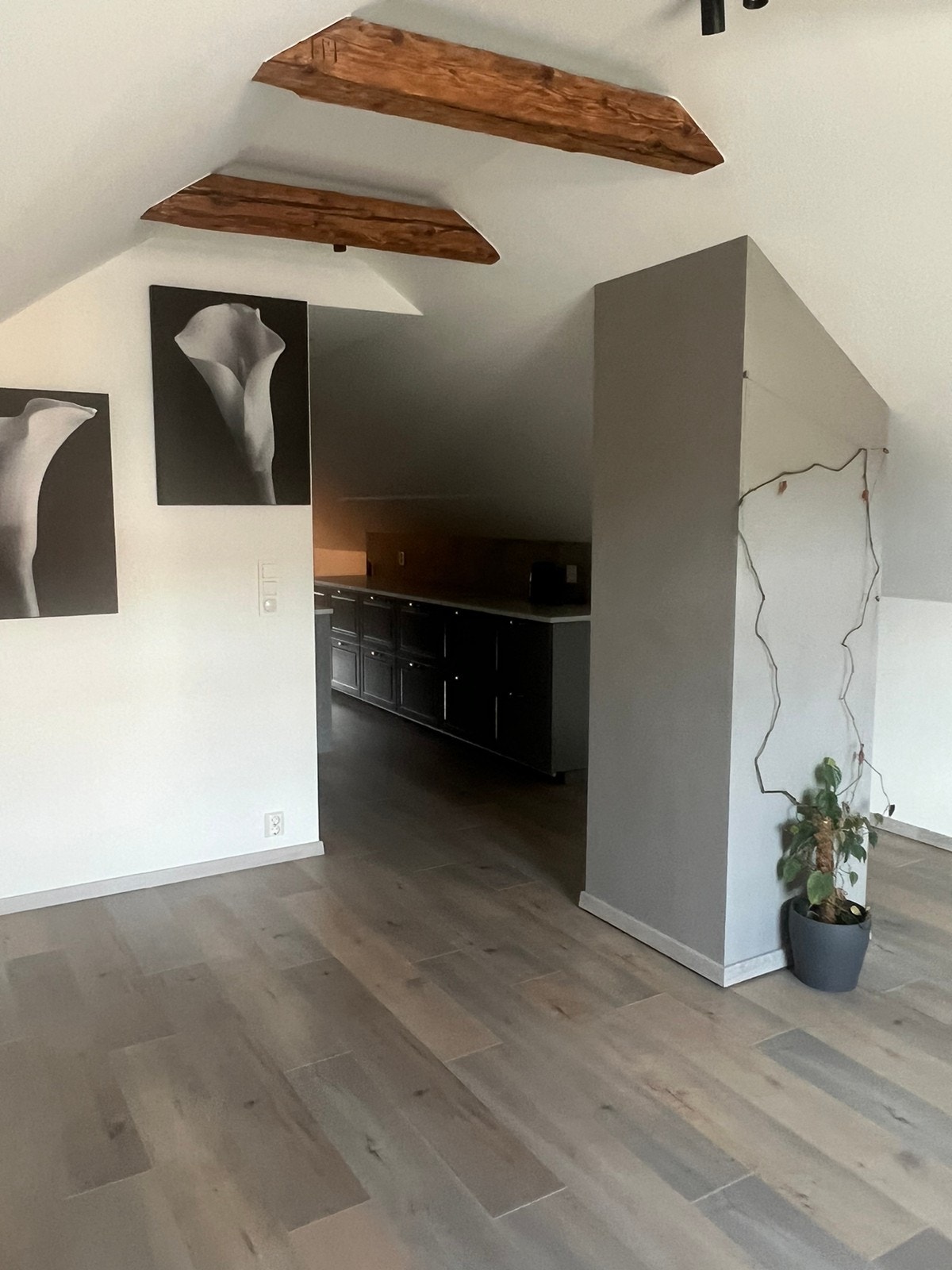 Romslig stue Galleribilde