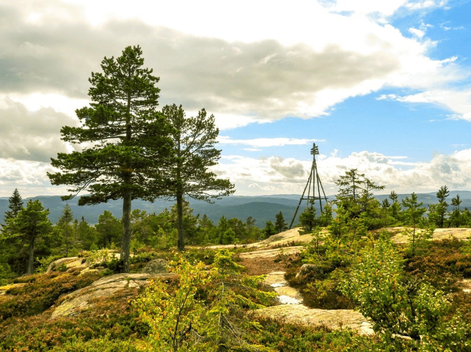 Fra boligen er det umiddelbar nærhet til fantastiske turopplevelser for både store og små i Østmarka! Galleribilde