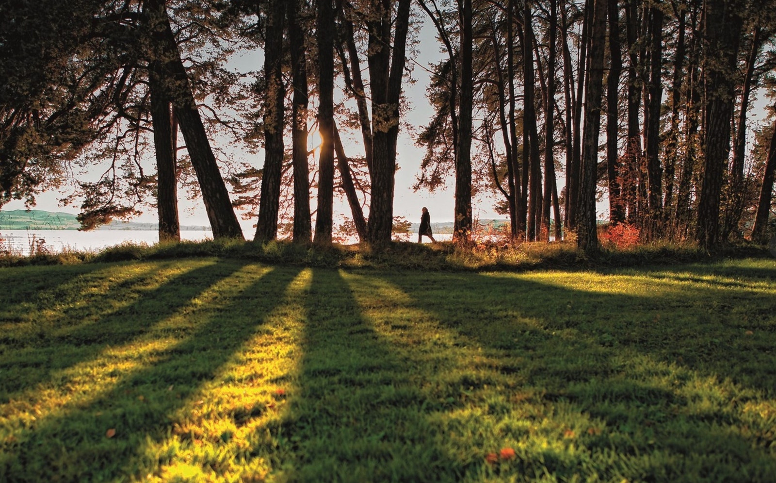 Nærhet til Mjøsa Galleribilde