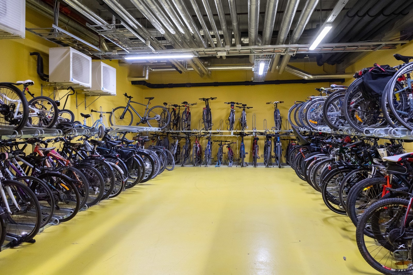 Felles sykkelbod. Galleribilde