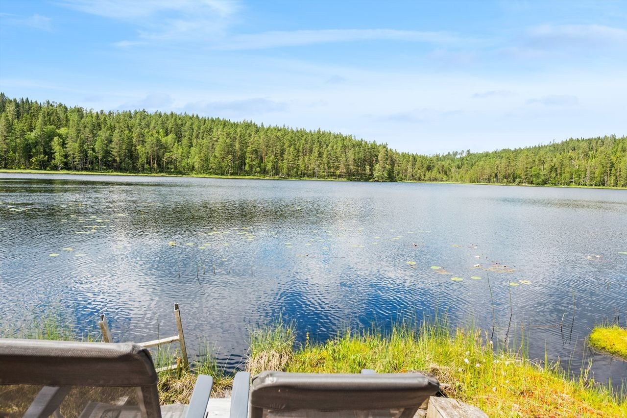 Velkommen til vakre Finnskogen! Galleribilde