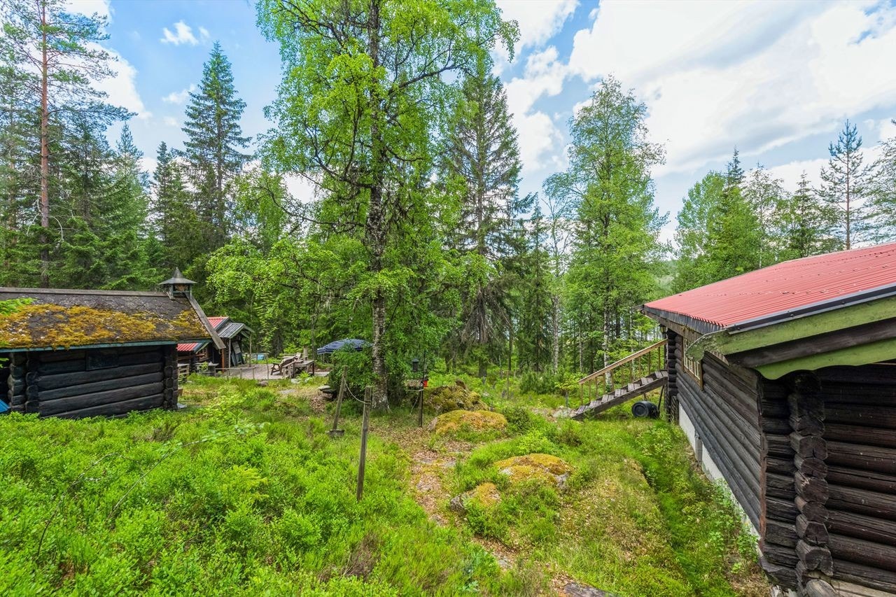 Hytta ligger i et område med fritidsboliger. Det er ca 37 km til Kirkenær sentrum med øvrige servicetilbud. Galleribilde