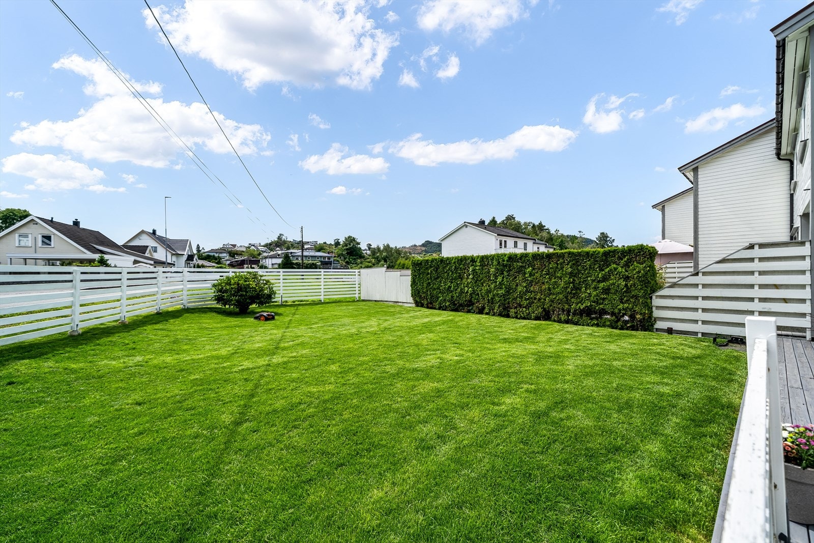 Plen på fremside Galleribilde