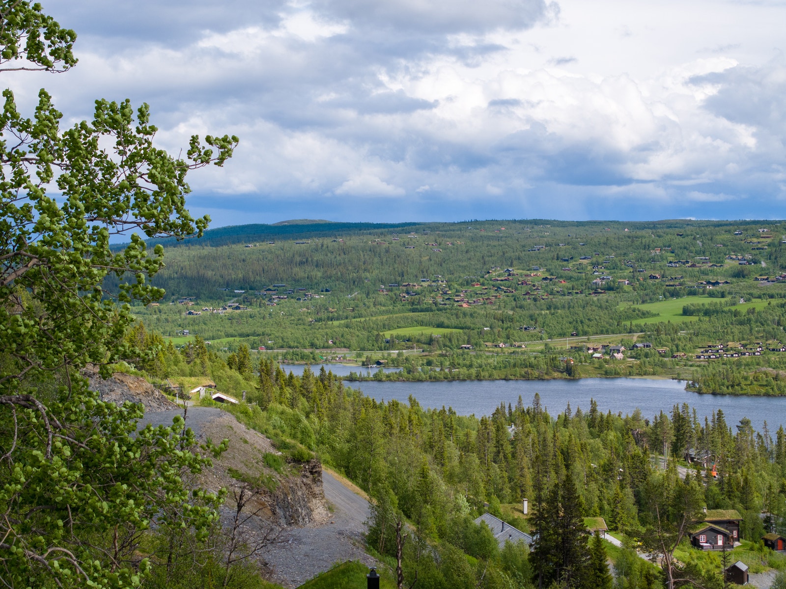 Tomt 25 - Utsikt mot Vaset Galleribilde
