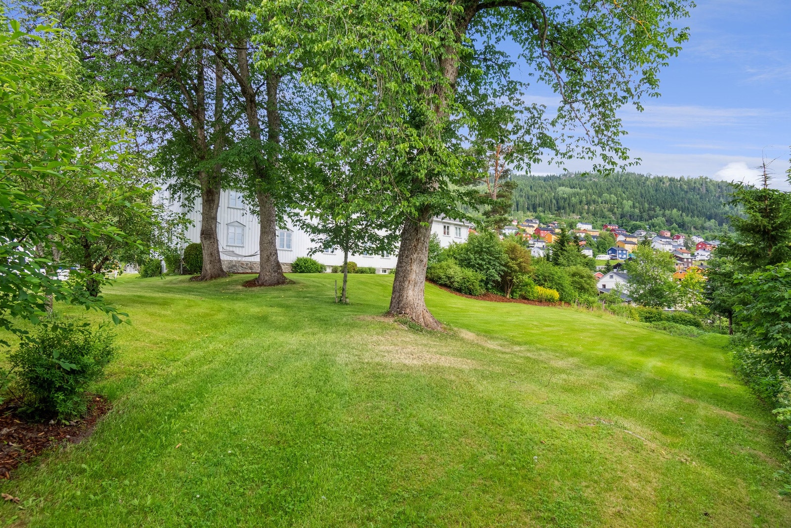 Hagen er rikt beplantet gjennom flere år. Galleribilde