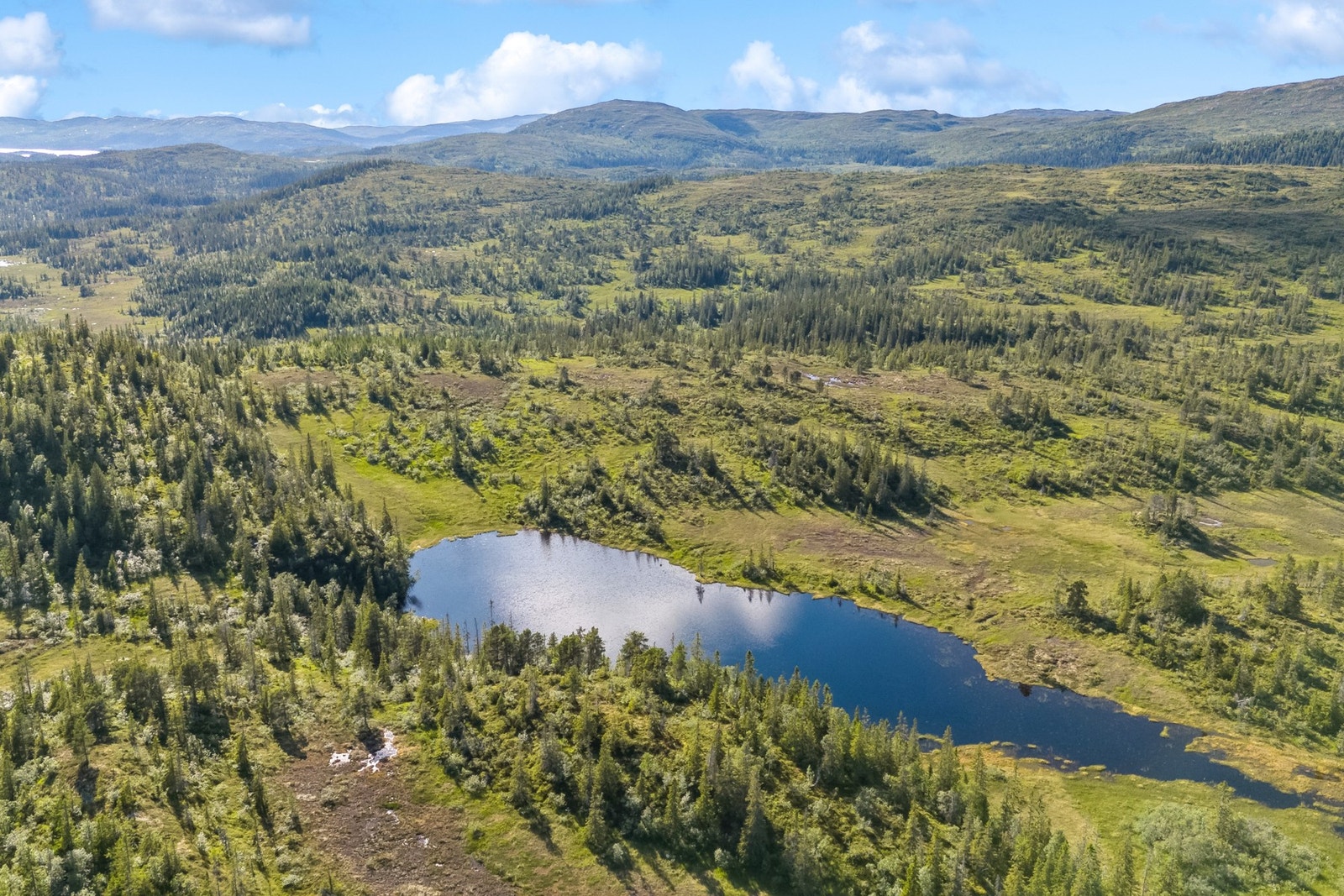 Malm Gård er en flott skogeiendom med hele 3726 dekar totalareal. Galleribilde