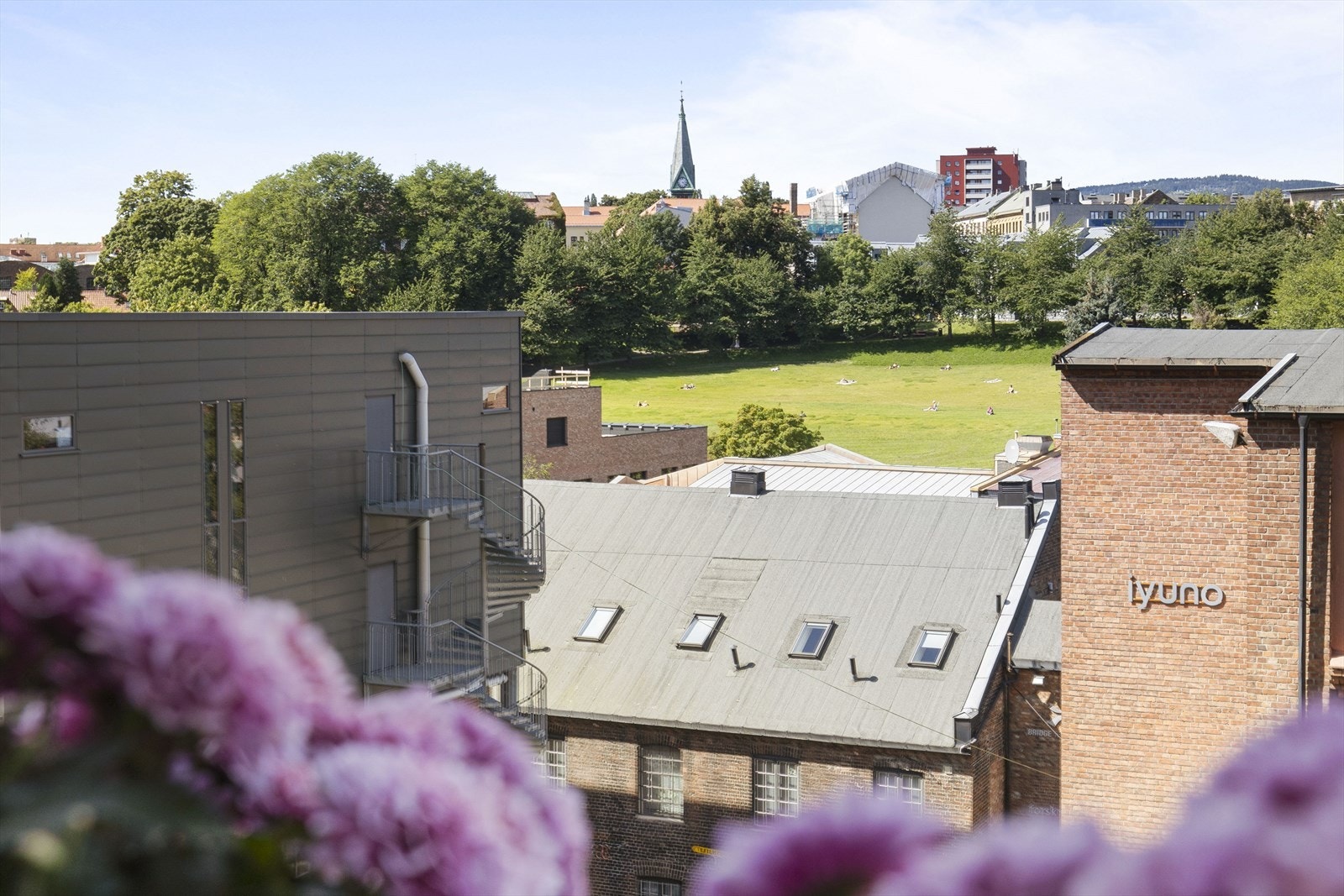 Nyt utsikten fra balkongen! Galleribilde
