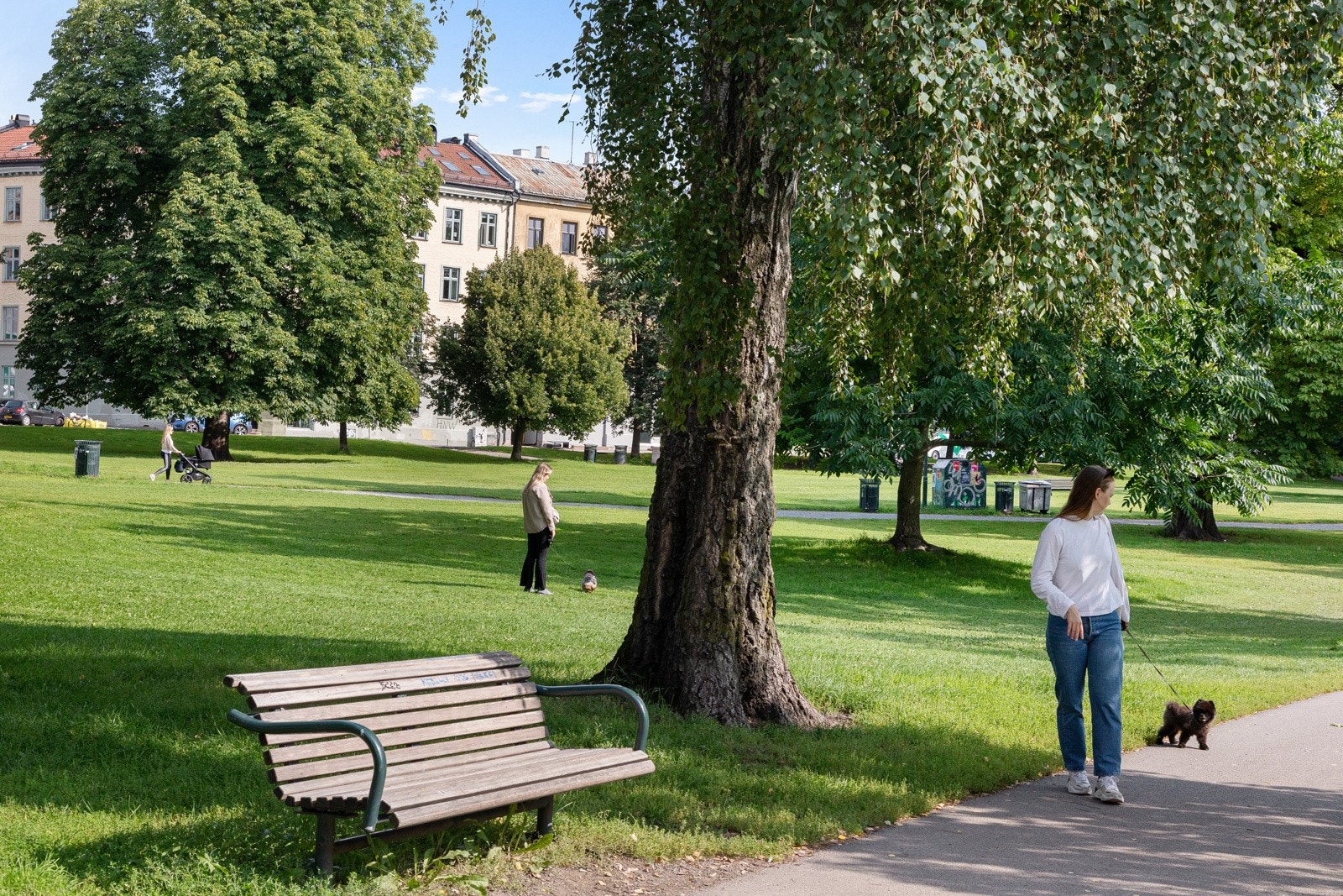 Sofienbergparken er en av de mest brukte parkene i Oslo, og strekker seg over hele 74 mål som sikrer nok boltreplass selv på en varm sommerdag. Galleribilde