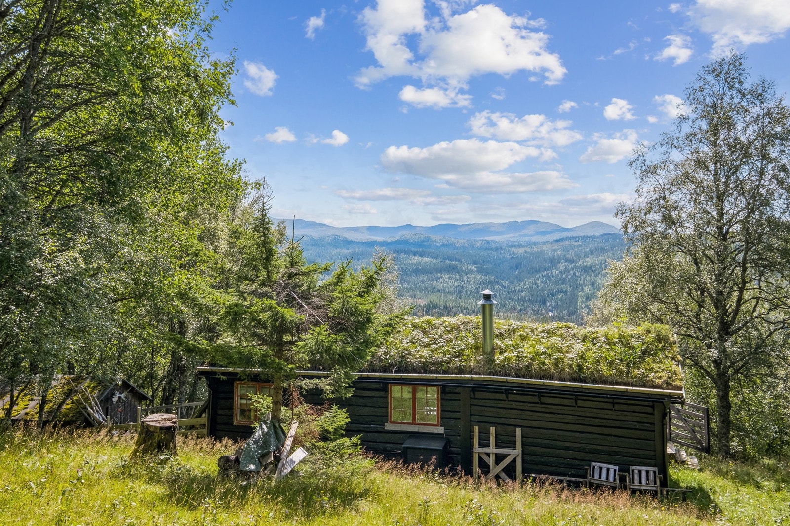 Velkommen til visning! Galleribilde