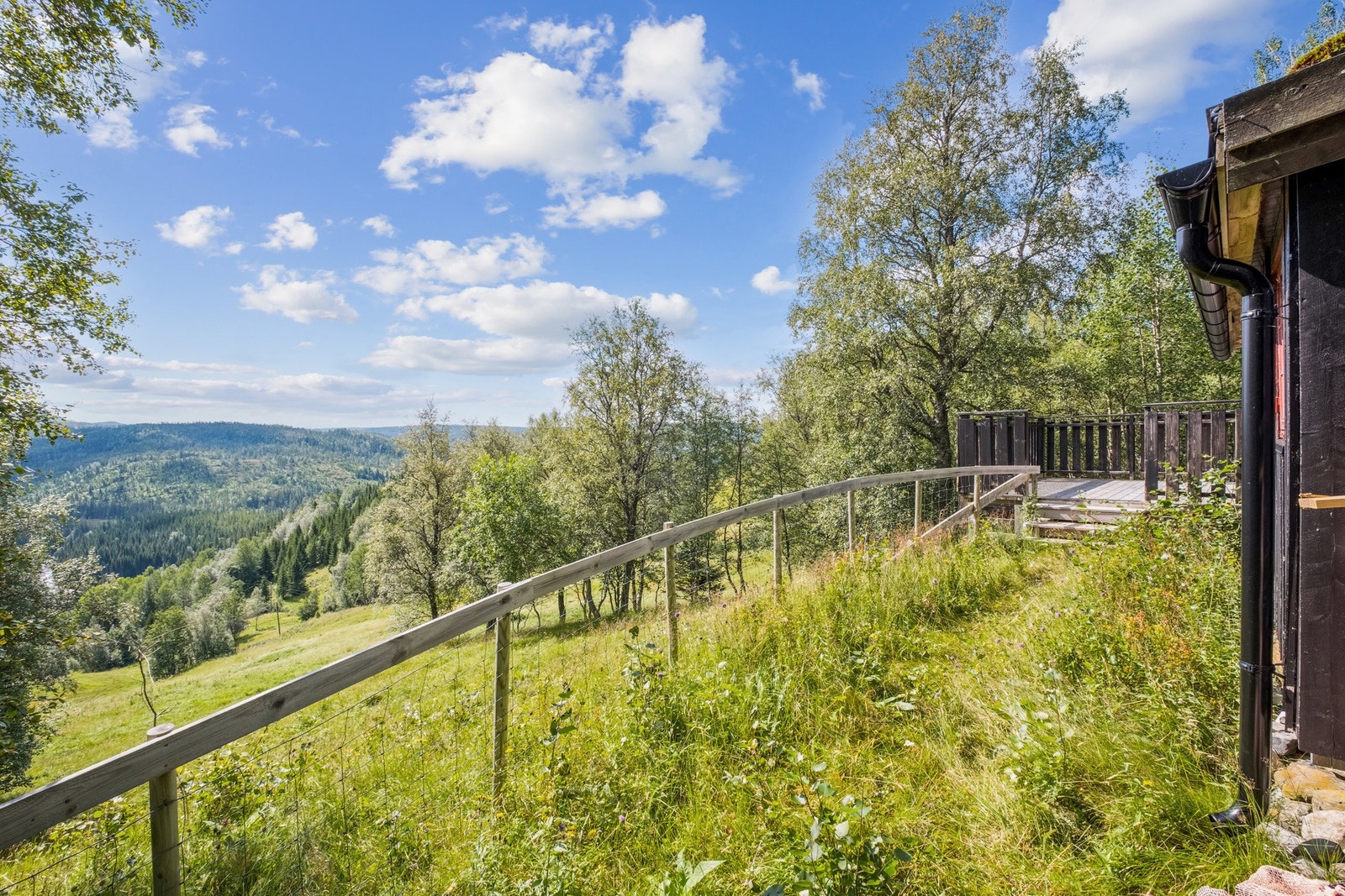 Flott natur rett utenfor døren. Galleribilde