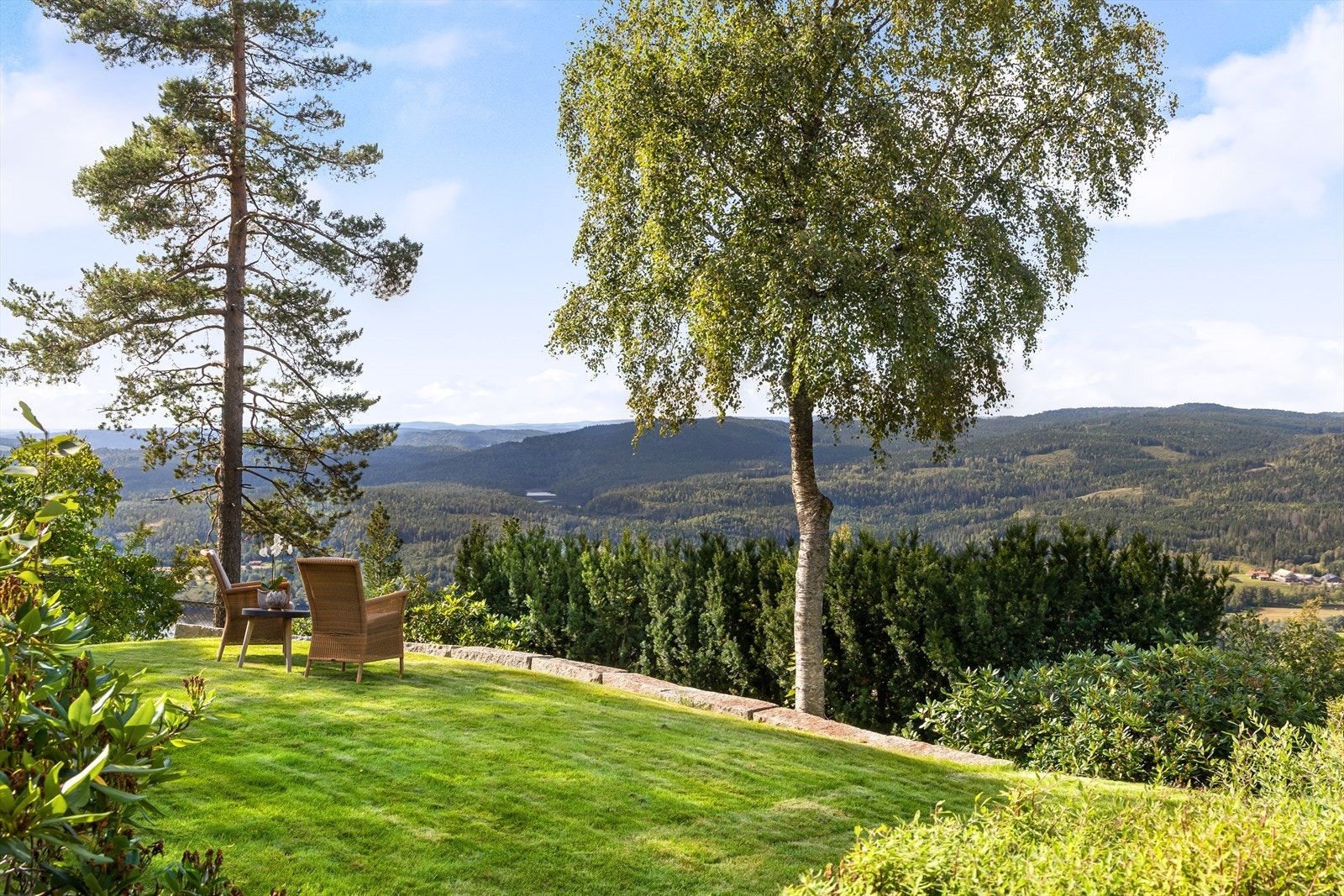 Herlig utsikt mot skogområdene i vest Galleribilde