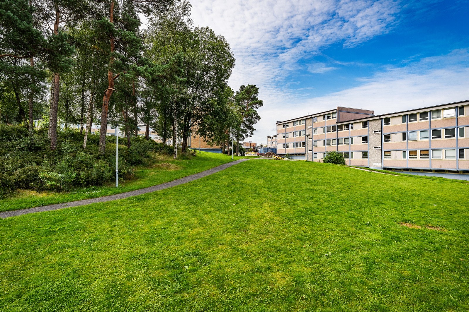 - Grønt og fint utenfor altanen - Galleribilde
