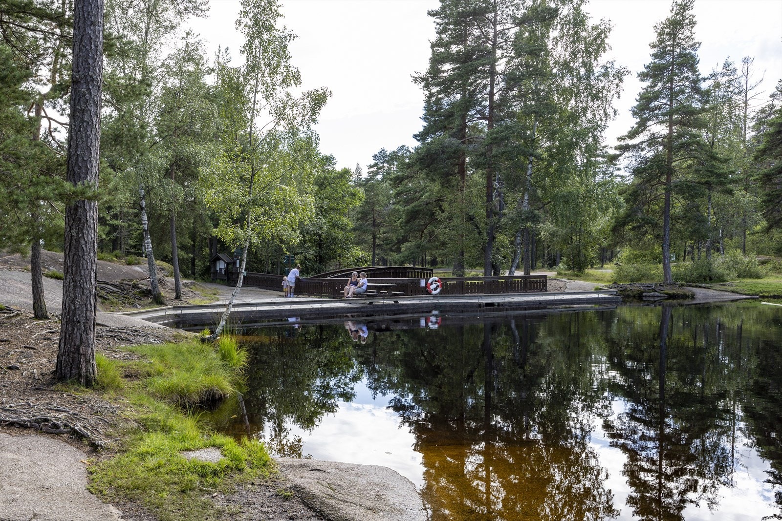 Vesledammen - Et yndet sted og flott utgangspunkt for både gå- sykkel og skitur. Galleribilde