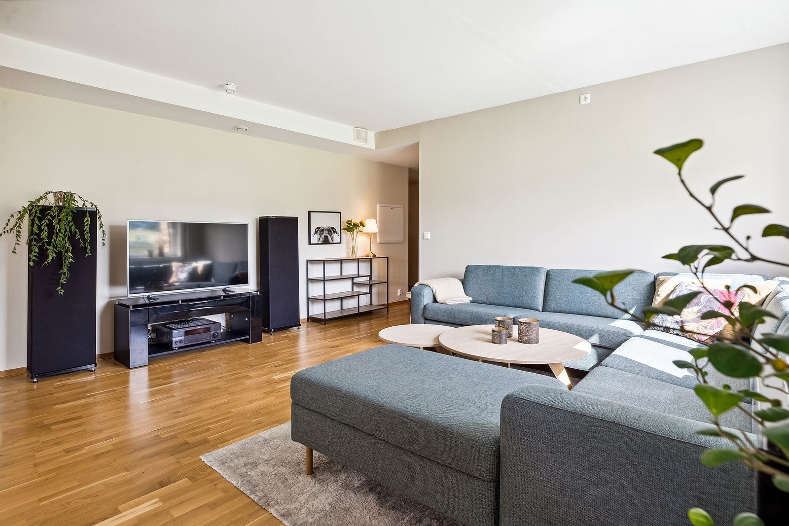 Stue med store vindusflater som gir godt med lysinnslipp. Galleribilde