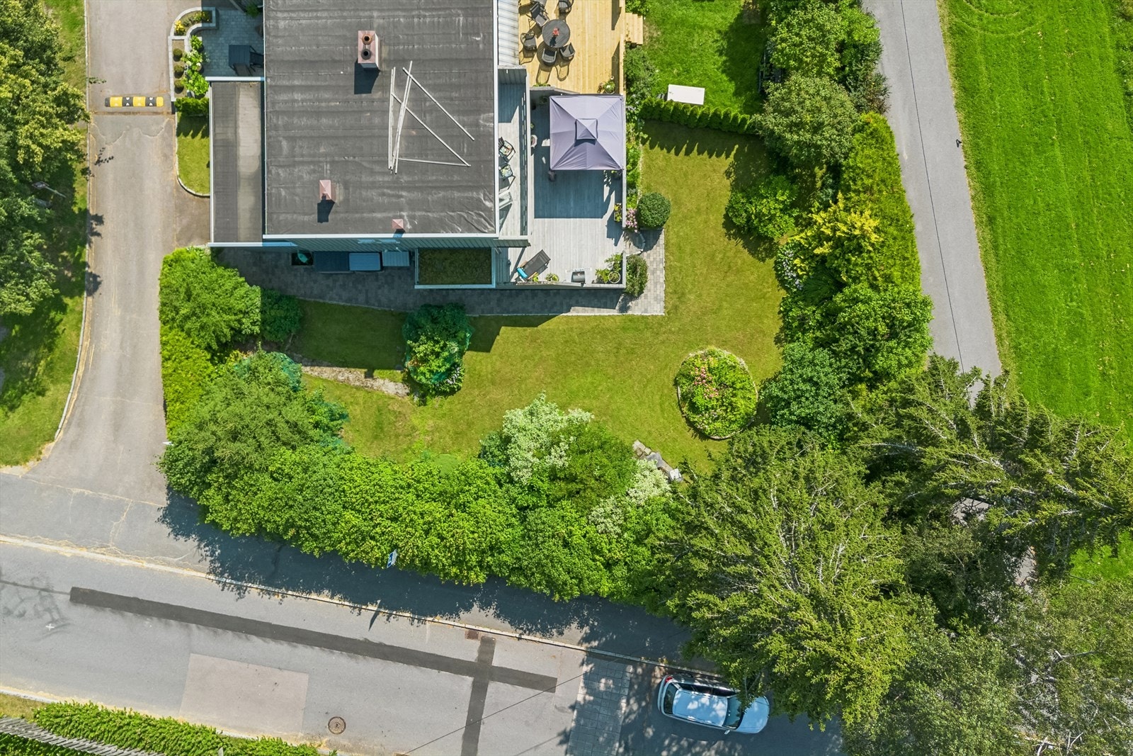 Overblikk over det idylliske uteområdet med solrik terrasse og frodig hage. Galleribilde