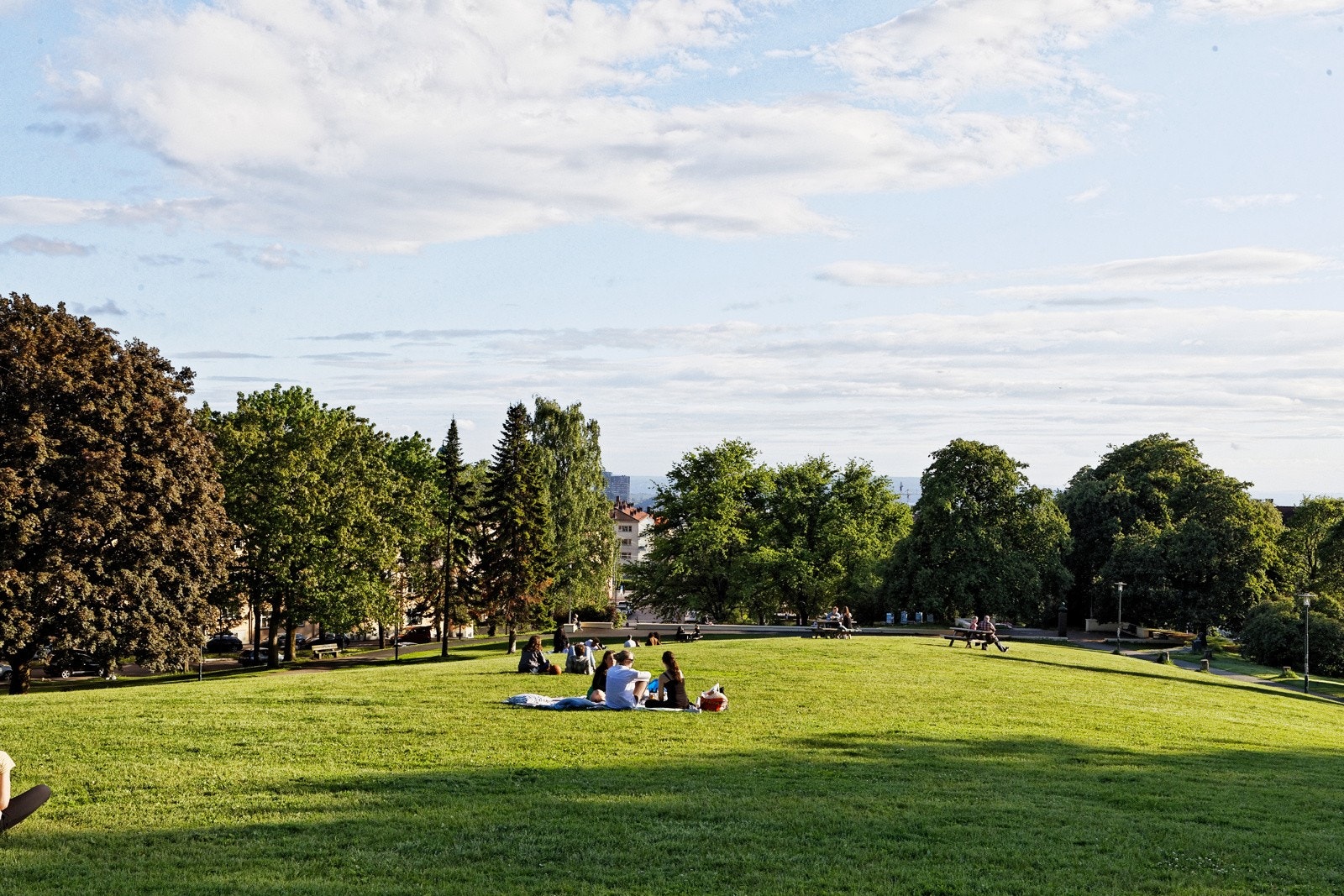 Torshovparken finnes i kort avstand fra leiligheten, og her er det flotte grøntarealer som aktivt benyttes til ulike fritidsaktiviteter både på sommer - og vinterstid Galleribilde