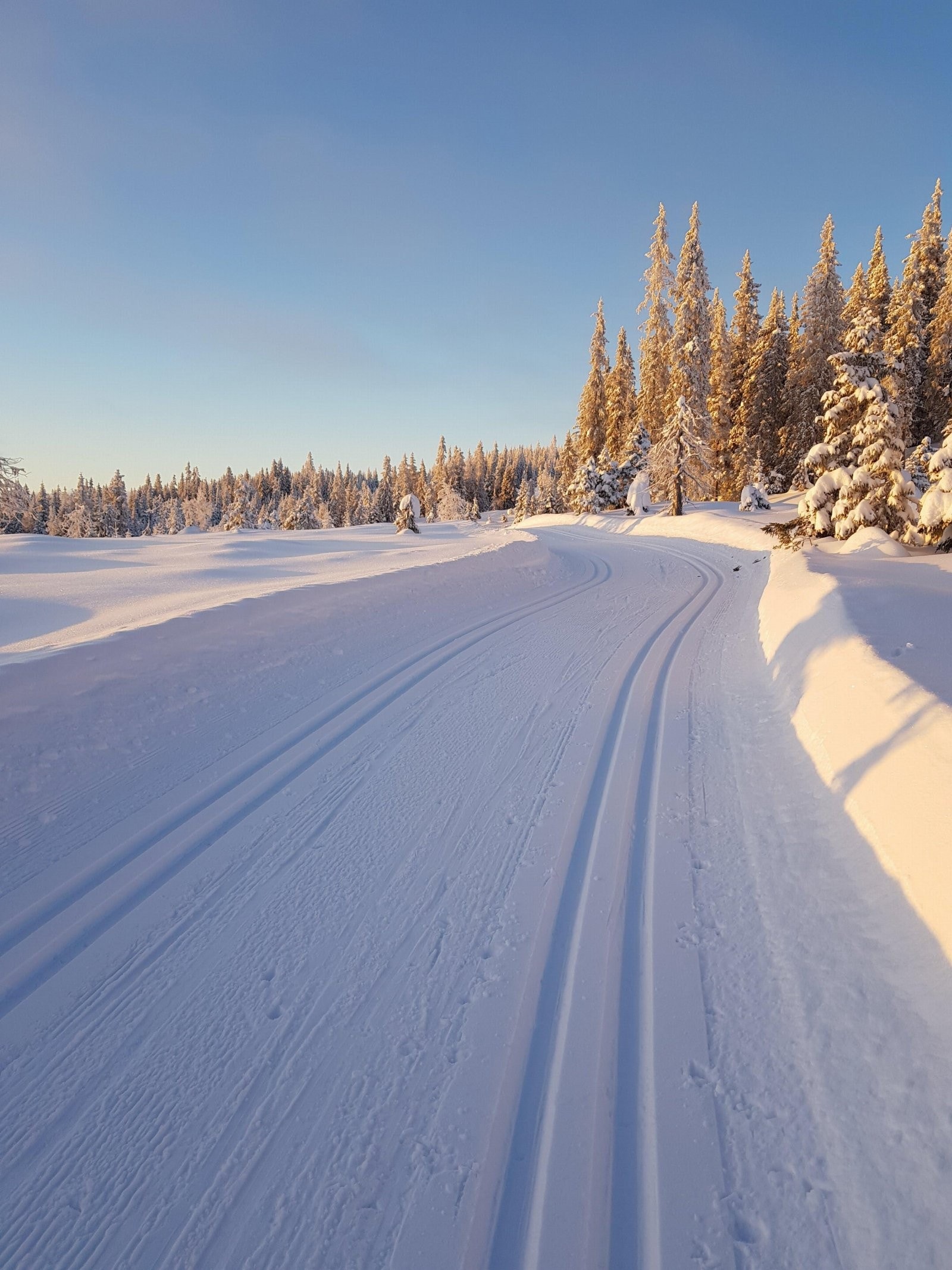 Skiløyper Olstadrunden Galleribilde